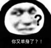 暴漫 熊猫头 你又单身了 好奇 搞怪 逗