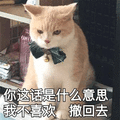 猫 不喜欢 撤回去