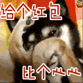 新年 狗 红包 心心 soogif
