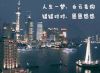 爱情