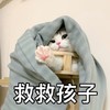 萌宠 喵星人 救救孩子 帮帮我 呆萌 可爱