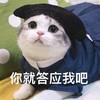 萌宠 猫星人 你就答应我吧 可怜 呆萌 可爱