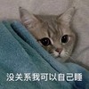 萌宠 喵星人 没关系 我可以自己睡 呆萌 搞怪