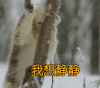 我想静静