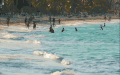 多米尼加共和国 海浪 游客 纪录片 蓬塔卡纳 风景