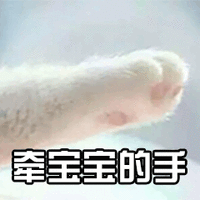 爪子 猫爪 牵宝宝的手