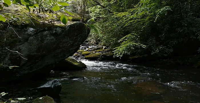 河 river nature 溪水