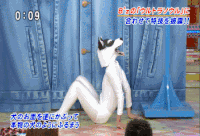 小狗 站立 人 白色