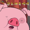 猪 动物 这么神奇呢吗 soogif soogif出品