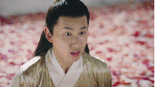 三生三生十里桃花