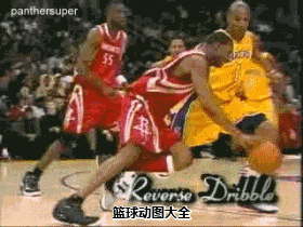 NBA 篮球 进球 欢呼