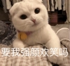 萌宠 喵星人 要我强颜欢笑吗 假笑 搞怪 逗