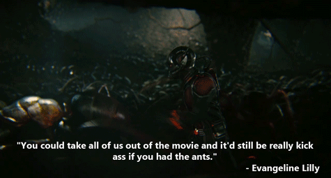 电影 漫威 超级英雄 曾经 看到 任何 蚁人的电影 VE 不像 凡丹戈