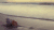 Cinemagraph 沙滩 贝壳 美景
