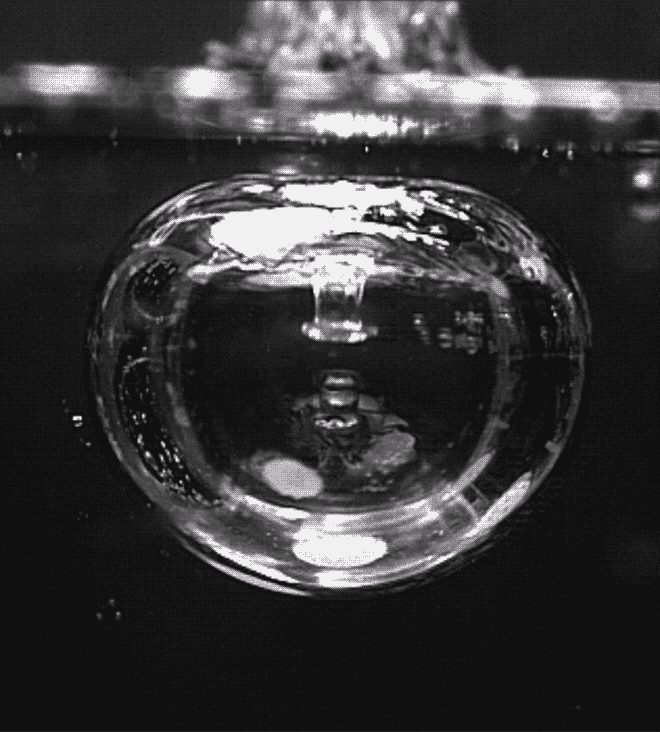 物理 落水 水滴 艺术 艺术奇观