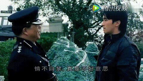 逃学威龙GIF表情图_逃学威龙动态_逃学威龙你说了算的表情包图片