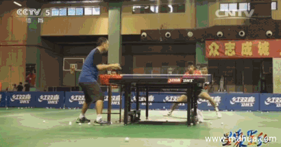 乒乓球  打比赛   对决  CCTV5