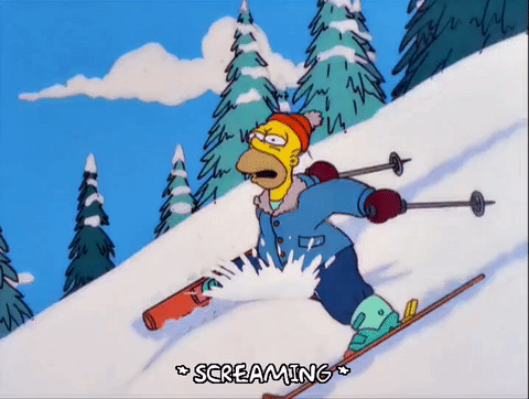 滑雪 荷马·辛普森 动画 森林 搞笑