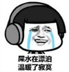 暴漫 文字表情包 屎水在漂泊温暖了寂寞 搞笑 逗 沙雕
