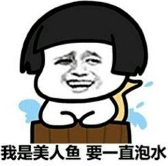 熊猫头 搞笑 文字表情包 魔性 天气热