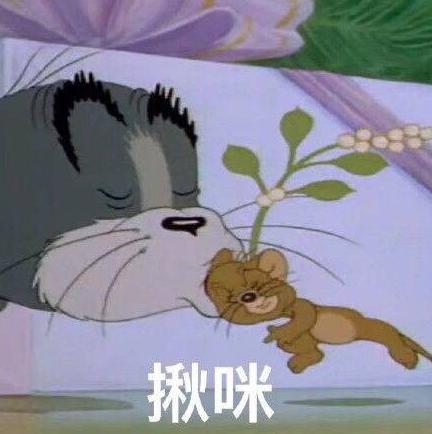 大杂烩 魔性 沙雕 搞笑 文字表情包