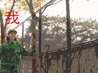 春风十里不如你 .周冬雨. 我开上大学了