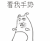 看我手势 赞 转圈 金馆长