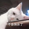 萌宠 猫星人 不会快乐了 难受 呆萌 可爱