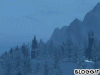 自然 森林 小雪 雪花
