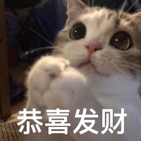 萌宠 喵星人 恭喜发财 祝福 呆萌 可爱