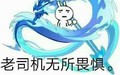 小兔兔 老司机 无所畏惧 斗图 搞笑 猥琐