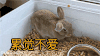 累觉不爱