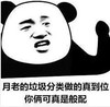 暴漫表情包 熊猫头 月老的垃圾分类做的真到位你俩可真是般配 沙雕 搞怪 逗趣