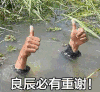 良辰必有重谢 大拇指 淹没 遗愿