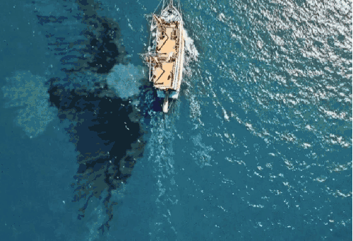 Coldplay MV UpUp 创意 海洋 老鹰 轮船