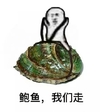 鲍鱼我们走