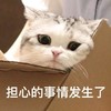 萌宠 猫星人 担心的事情发生了 无辜 呆萌 可爱