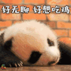 萌宠 熊猫 吃鸡 好无聊 好想 soogif soogif出品