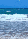 海滩 水 自然 沙滩 海洋beach nature
