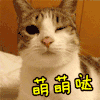 卖萌 萌萌哒