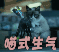 喵星人 喵式生气 生气