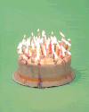 生日 火 生日 蛋糕 蜡烛