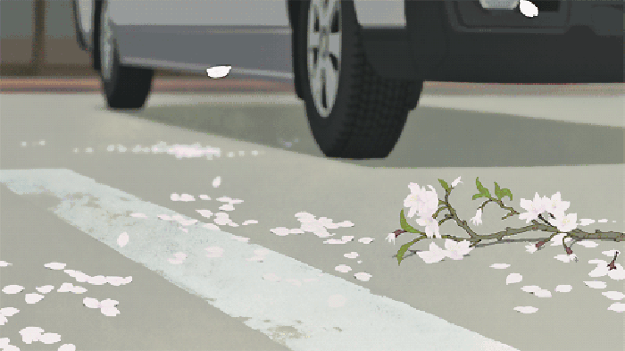 落叶 花朵 汽车 动漫