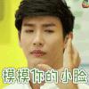 花戒指 Push 莱星 摸摸你的小脸 soogif