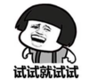 暴漫 文字表情包 试试就试试 搞笑 沙雕 逗