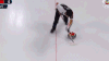 2018平昌冬奥会 冰壶 soogif