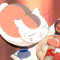 桌子 美食 猫咪 面条