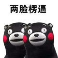熊本熊 两脸楞逼 斗图 搞笑 可爱 萌萌哒