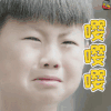 东山晴后雪 嘤嘤嘤 soogif