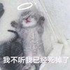 萌宠 喵星人 我不听 我已经死了 呆萌 可爱